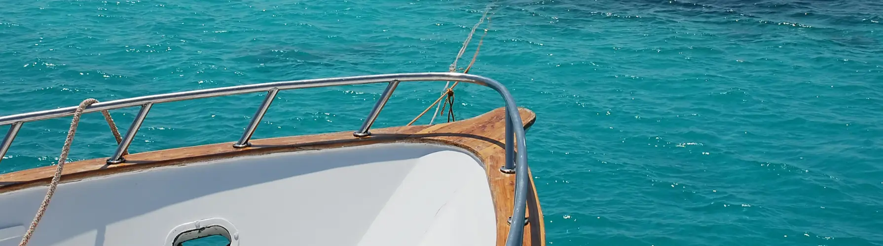 banner 2